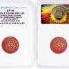 🧭 🔸 Rare ½ Pice | 1901 Gwalior State | EF40 | Madhao Rao | Lowest Mintage Year | Princely India