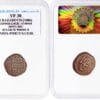 🟨 ⚓ Rare 1 Bazaruco of Pedro II | 1686 | Indo-Portuguese | VF30 | Diu Mint | Numista Index: 84